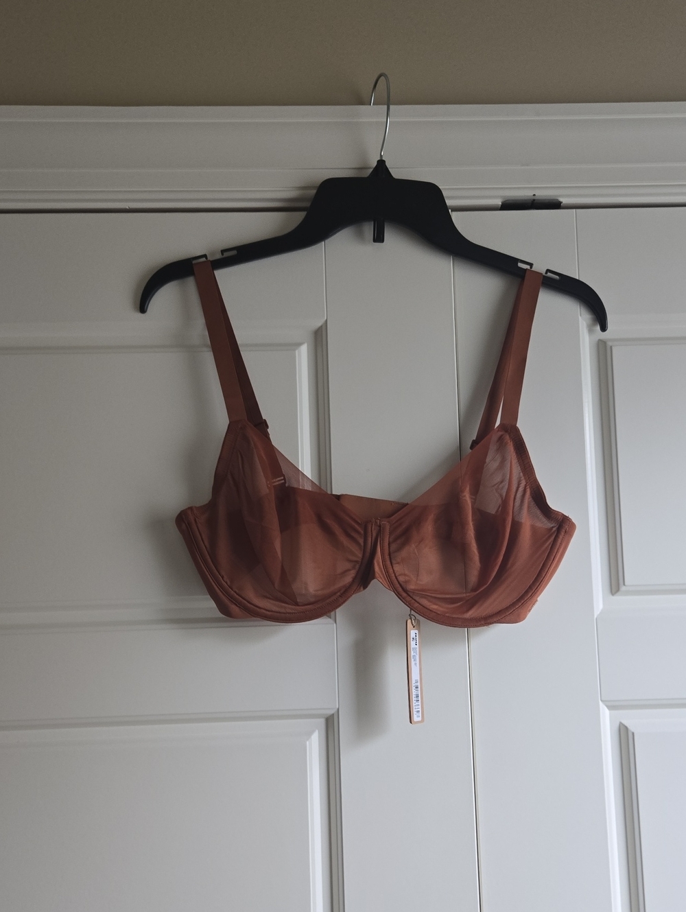 Sheer Underwire Bra